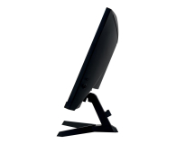 iiyama G-Master G2466HSU Red Eagle Curved - 590143 - zdjęcie 6
